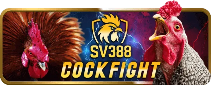 Nạp tiền vào tài khoản 11bet win